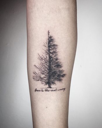 Pine tree by Choco Chiang