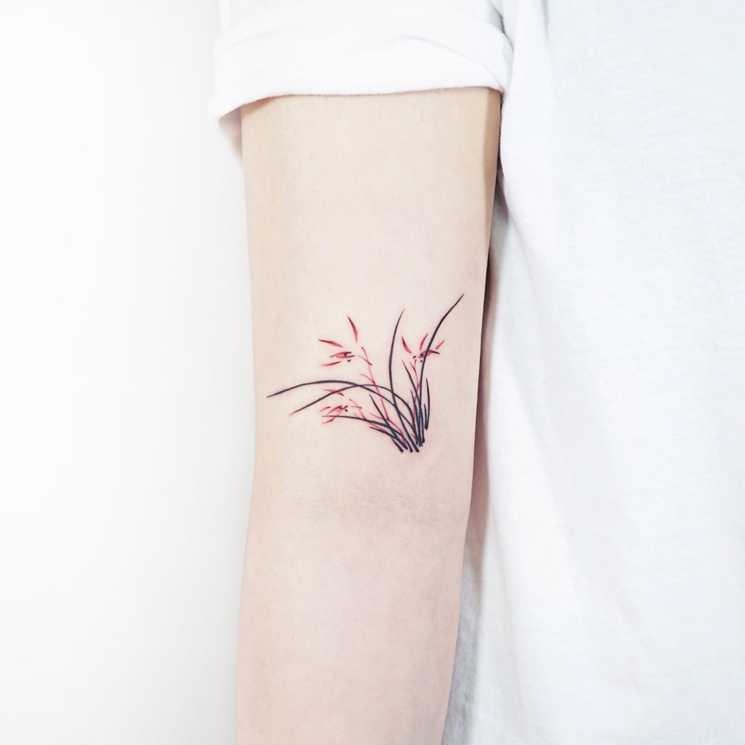 Plant by tattooist Ida