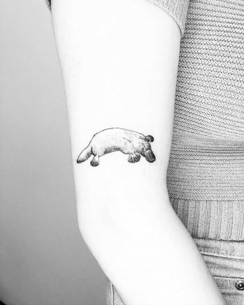 Platypus tattoo by Jake Harry Ditchfield