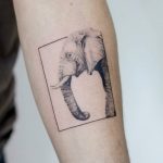 Realistic elephant by tattooist Fury Art
