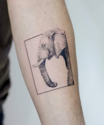 Realistic elephant by tattooist Fury Art