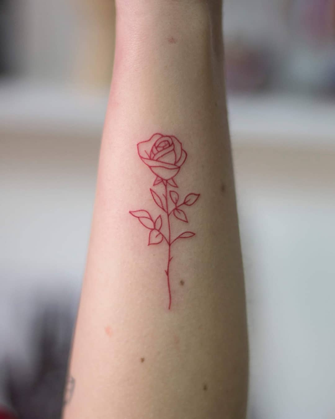 Red rose by tattooist Fury Art