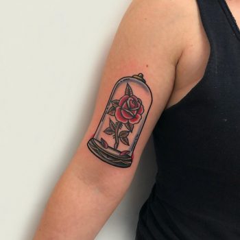 Rose in a glass dome by rocotatt