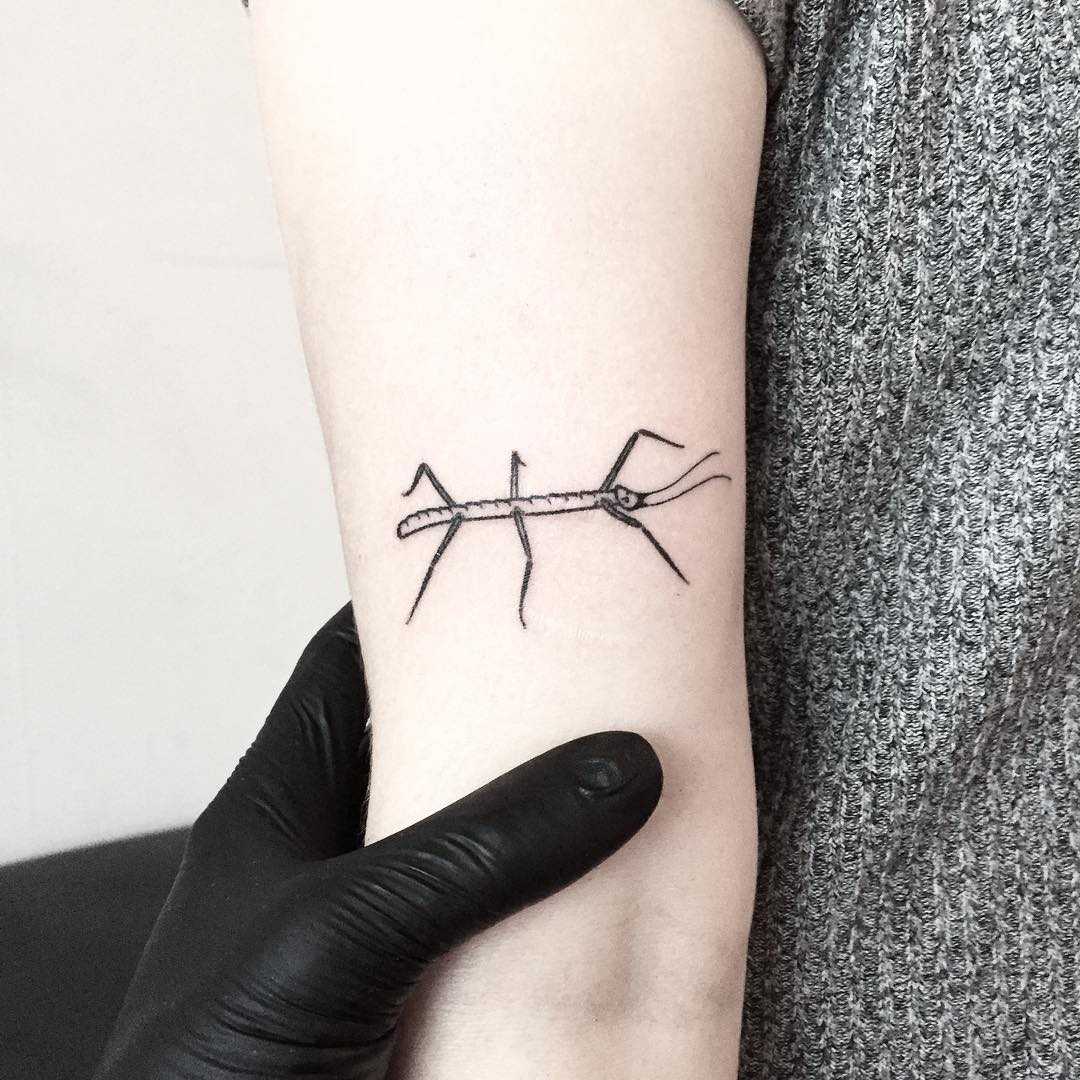 Stick-bug tattoo by tattooist pokeeeeeeeoh