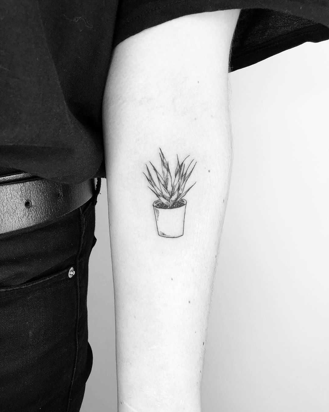 Felicia Pach Tattoo Artist - Tiny split leaf philodendron behind a  pre-existing piece I didn't do but touched up anyway. . #leaftattoo  #minimalist #linetattoo #smalltattoo #simple #planttattoo #tattoo  #darktattoo #blackandgreytattoo #girlswithink ...