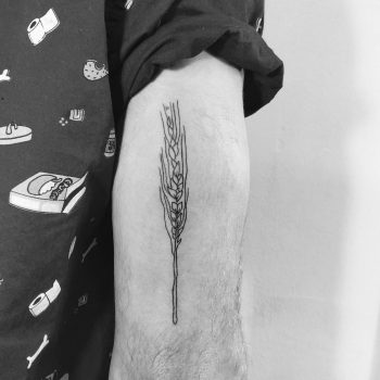 Wheat on an arm by Sara Kori