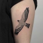 Bird of prey tattoo by @skrzyniarz_