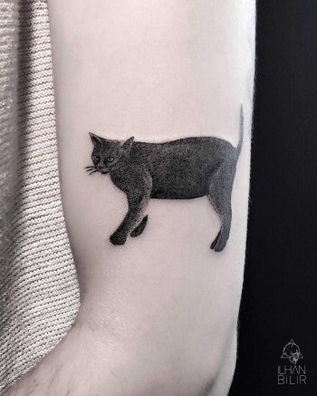 Black cat by İLHAN BİLİR 6