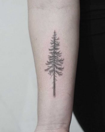 Douglas fir tattoo by Evgenii Andriu