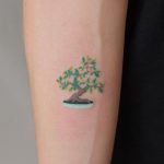 Small bonsai by Yaroslav Putyata
