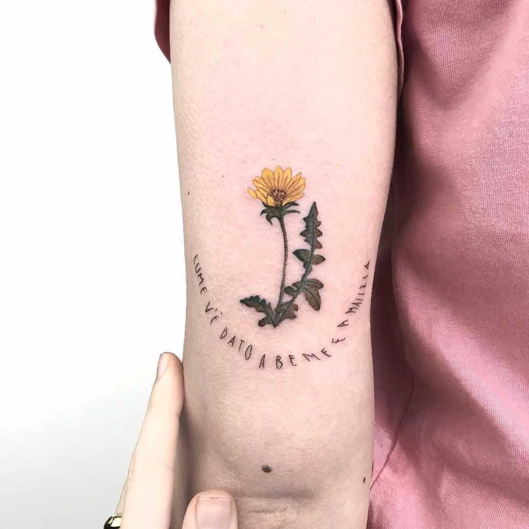 Sonchus tattoo by Marco Sorgato