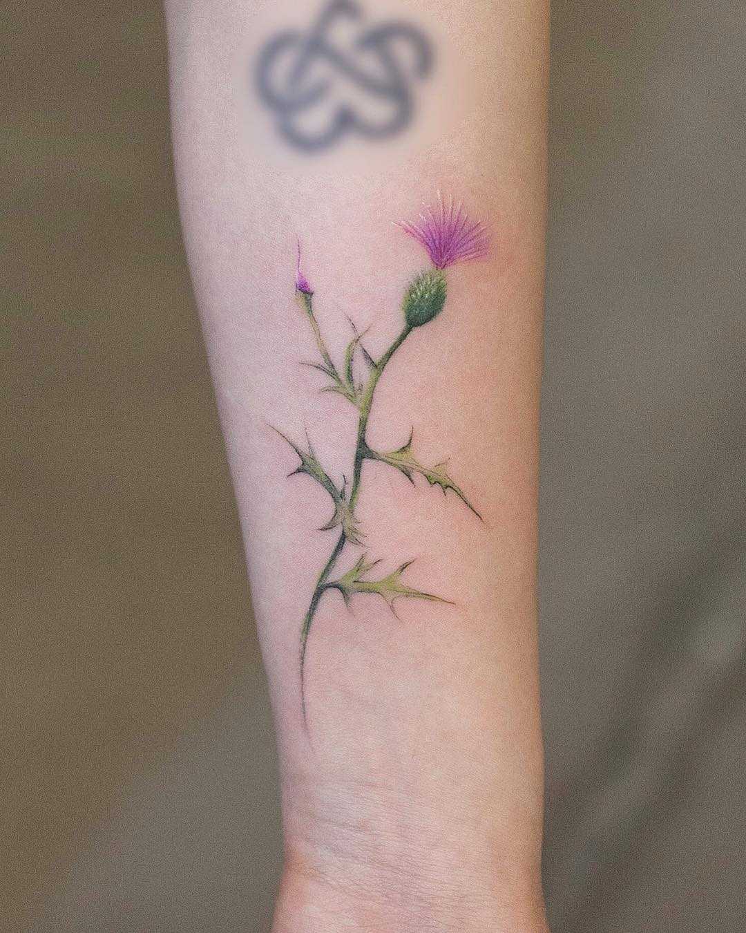 Wild flower by tattooist Franky