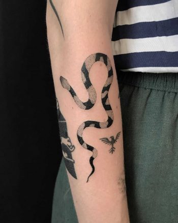 Black and grey snake by @skrzyniarz_