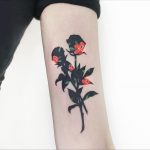 Black and red roses by @polyc_sj