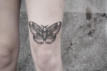 Black moth by @patcrump