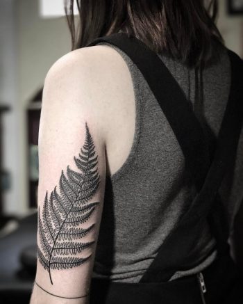 Fern on the left arm by @patcrump