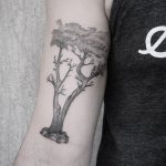 Monterey Cypress tattoo by @patcrump