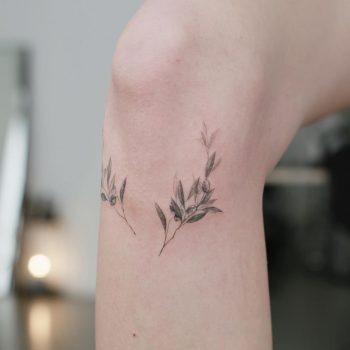 Olive branches by @tattooist_flower