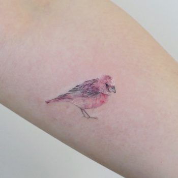 Pink bird by @tattooist_flower