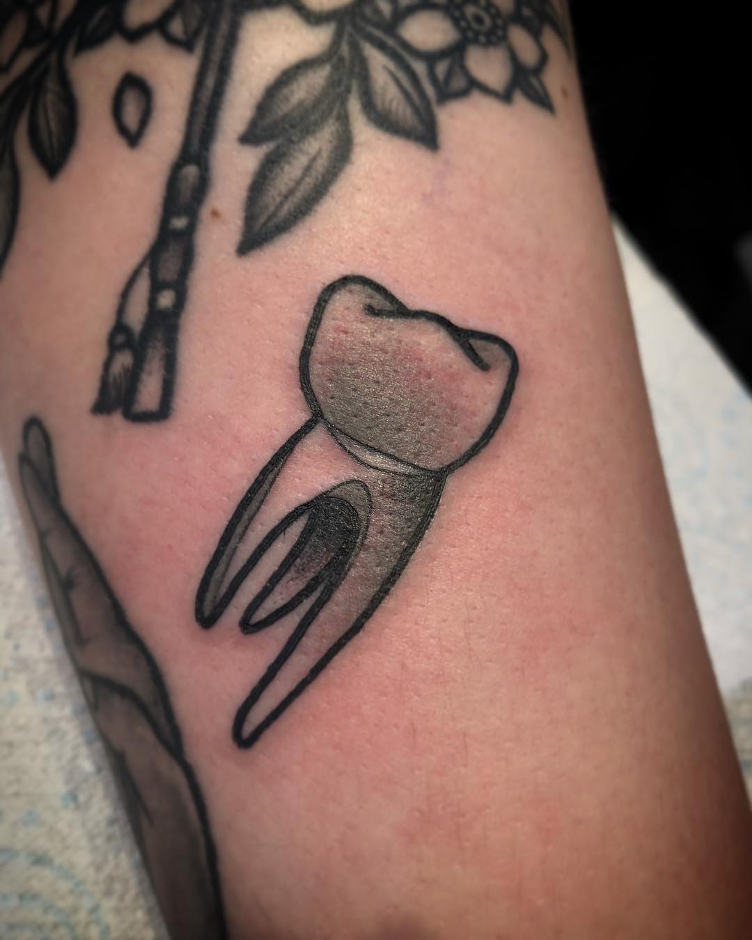 Tiny tooth by @pau1terry_