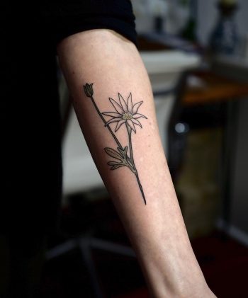 An Australian Flannel flower tattoo by @sophiabaughan