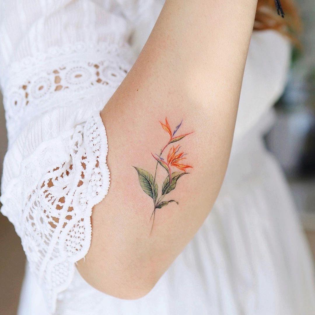 Bird of paradise flower tattoo by @vane.tattoo_