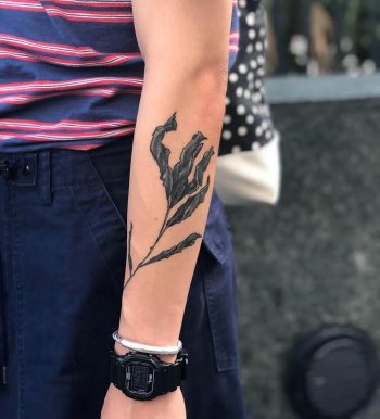 Dried indigo leaves by @sophiabaughan