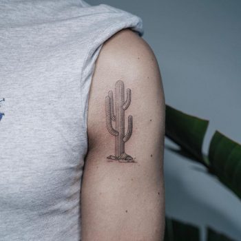 Fine line cactus by @firstjing