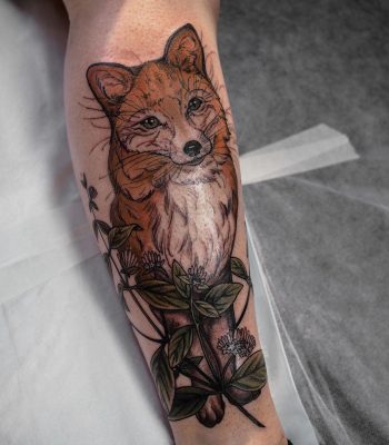 Fox on the shin by @sophiabaughan