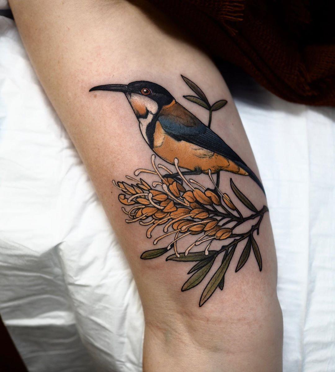 Grevillea and Eastern spinebill tattoo by @sophiabaughan