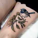 Male fairy wren and yellow magnolia by @sophiabaughan
