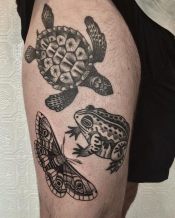 Moth, turtle, and frog tattoos by @justinoliviertattoo