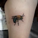 Native Australian Blue banded Bee tattoo by @sophiabaughan