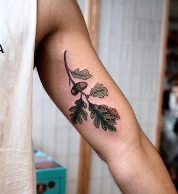 Oak branch by @sophiabaughan