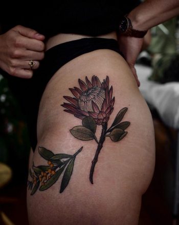 Protea tattoo by @sophiabaughan