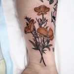 Rusty colour poppies ️by @sophiabaughan