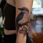 Sacred Kingfisher tattoo by @sophiabaughan