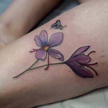 Saffron flower and blue banded bee by @sophiabaughan