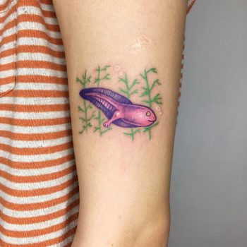 The son of frog by @alexey_feism