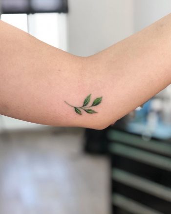 Tiny leaves by @soychapa