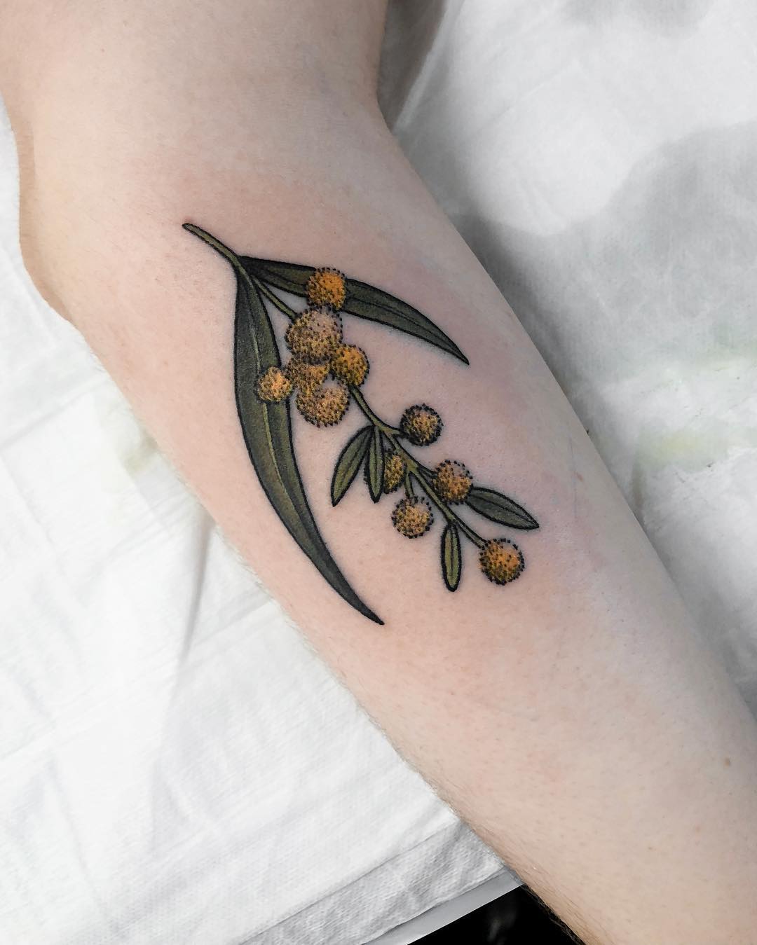 Wattle tattoo by @sophiabaughan 