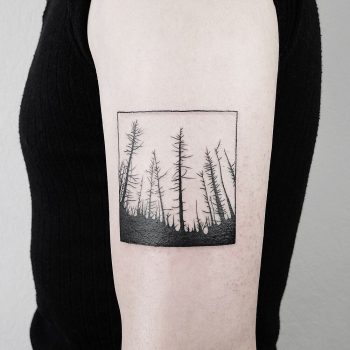 Burnt forest by @mateutsa