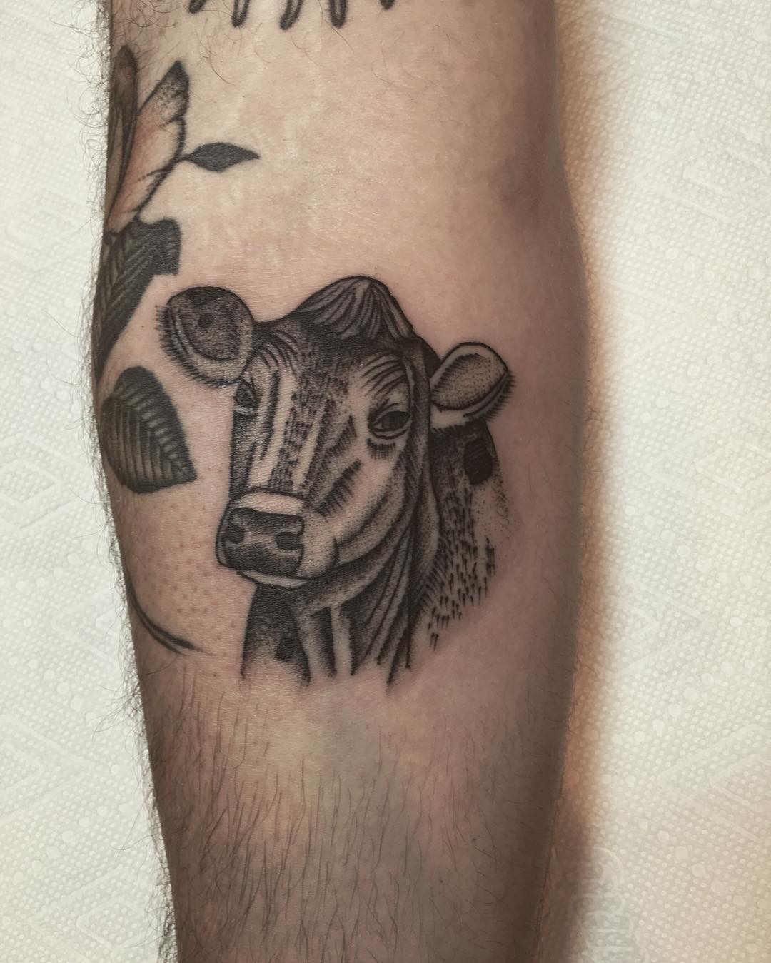 Cow by @justinoliviertattoo