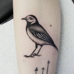Wagtail tattoo by @rebecca_vincent_tattoo