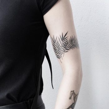 Palm leaves by @mateutsa