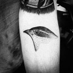 Darwin's Finch sketch tattoo by @rebecca_vincent_tattoo