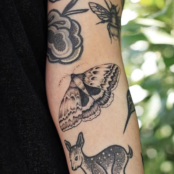 Ditch moth by @rebecca_vincent_tattoo