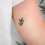 Mini Green Leaf by Tattooist Eden
