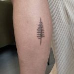 Pine Tree Tattoo by @dr.kate.tattoo