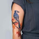 Blue Jay Tattoo by @picsola